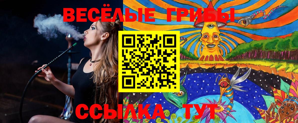 Псилоцибиновые грибы Cubensis  Вход с VPN  Лысьва 